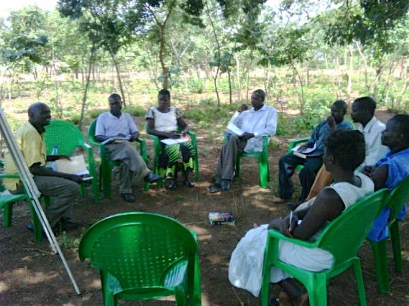 CHE learning under the trees